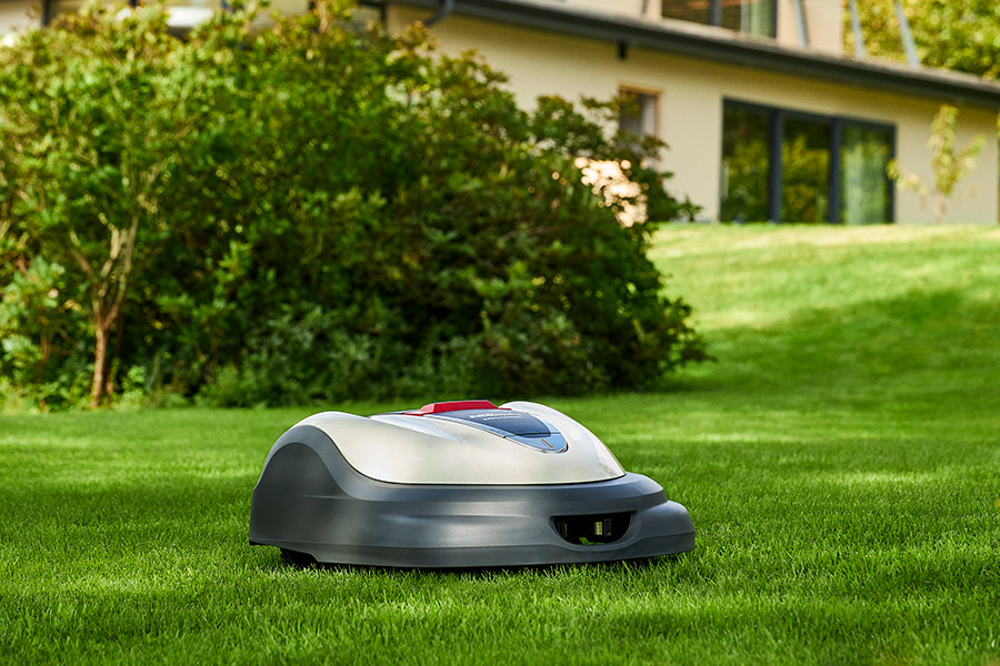 Robot Miimo na trawniku
