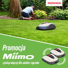 Promocja - Czas na Miimo
